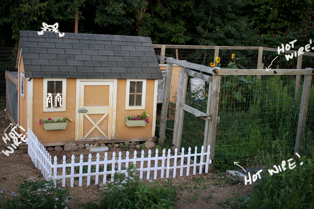 Fort Knox Chicken Coop and Run