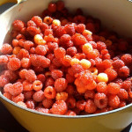 Almost too pretty to cook into jam... Almost too pretty to cook into jam...