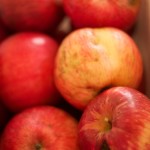 Ugly But Useable Apples