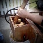 apple grinder