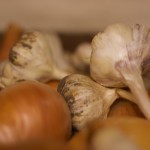 Garlic harvest in July. Ready for eating or replanting! Garlic harvest in July. Ready for eating or replanting!