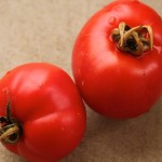 first red ripe tomatoes