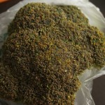 Very Old Broccoli