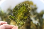 Kale Chips
