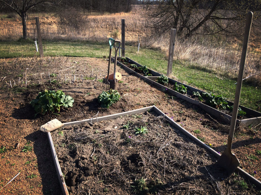 Spring Garden Chores