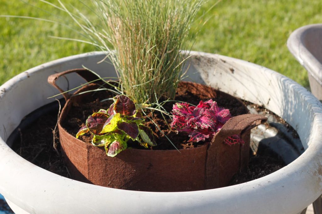 root bag in gigantic pot