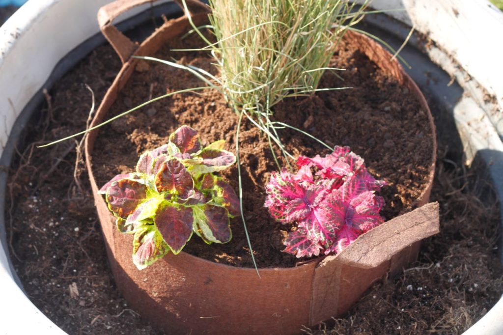 root bag in gigantic pot